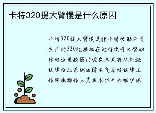 卡特320提大臂慢是什么原因