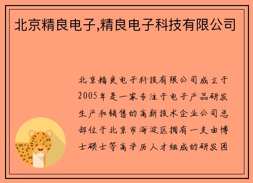北京精良电子,精良电子科技有限公司